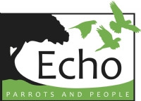 Echo logo